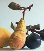 Yellow pear on a twig from Penkridge Ceramics