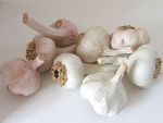 Garlic from Penkridge Ceramics