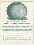 Bramleys_seedling_award. Courtesy of the Bramley Apple Information Service.