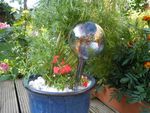 Plant Genie Watering Globe in situ