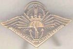 The Australian Returned from Active Service Badge