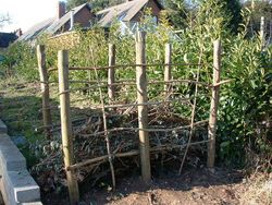 Dead Hedge and Leaf Fence - composting wood and leaves (Weeding the Web)