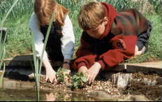 Children find ponds fascinating. Photo courtesy of Avon Wildlife Trustfind