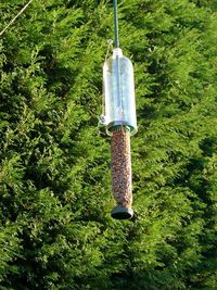 DIY squirrel proof bird feeder