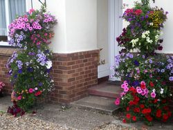 Mrs-Beeton-2nd-Bury-in-Bloom2-1024x768