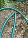 A badly kinked garden hose like this will leak eventually. Copyright Helen Gazeley