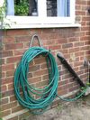 The Wickes storage hook in use as a hose tidy. Copyright Helen Gazeley