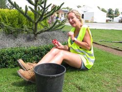 Jo Kent trims the buxus in The Eye of the Internet Maze at Hampton Court Flower Show 2011IMG_2376