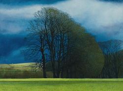 Winter Beeches by Annie Ovenden