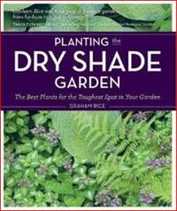 Planting the Dry Shade Garden