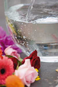 Make sure you put cut flowers in a clean container, with clean waterclean_water_in_vase