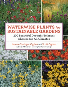 Waterwise Plants for Sustainable Gardens