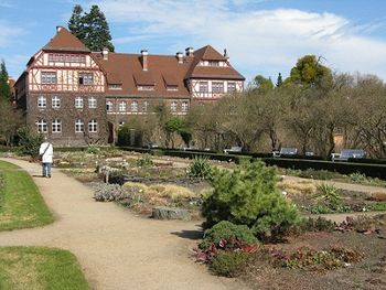 In the Botanische Garten