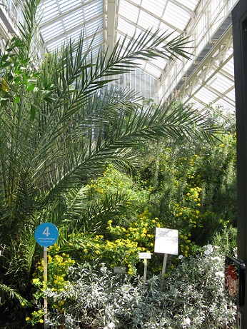 Mediterranean House, Berlin Botanical Garden