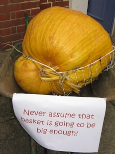 Trapped! Dorking Pumpkin Festival 2012