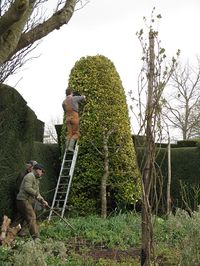 Hard at work preparing Great Dixter for the spring opening March 2013