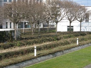 The garden at the Bauhaus Archiv, Berlin