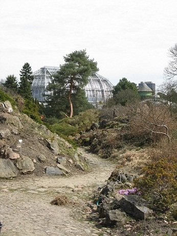 The Rock Garden, Botanical Garden, Berlin