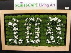 Scotscape living pictures. Chelsea Flower Show 2013