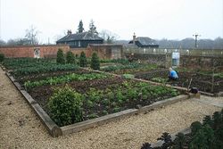 Kitchen_Garden