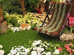 Birmingham Library Stand, Chelsea Flower Show 2013