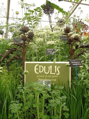 Edulis stand at Hampton Court Flower Show 2013