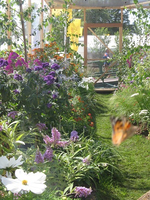 Native butterfly garden, Hampton Court Flower Show 2013