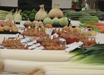 Vegetable classes, Shrewsbury Flower Show, 2013
