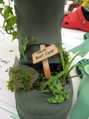 Frog Boot Camp, Plant a Shoe or Boot Class, Shrewsbury Flower Show, 2013