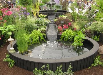 Prize-winning stand from Plant Heritage, Floral marquee, Shrewsbury Flower Show, 2013