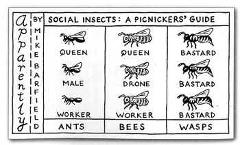 Social Insects - A Picnickers' Guide by Cartoon Art Trust Award-Winner,  Mike Barfield