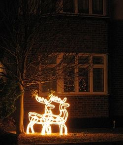 Reindeer tableau for Christmas