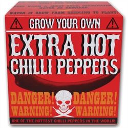 Grow-your-own-extra-hot-chilli-peppers