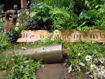 Potter's Garden. Chelsea Flower Show, 2014