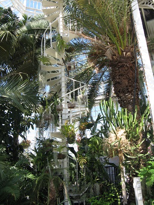 Spiral staircase, Palm House, Sefton Park, Liverpool