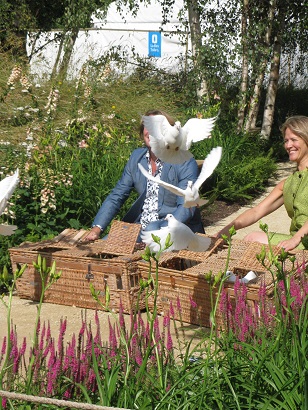 Doves, Quiet Mark Garden, Hampton Court Flower Show, 2014