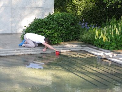 Underwater photography at Chelsea Flower Show 2014