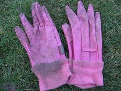 Town and Country Aquasure gardening gloves for women