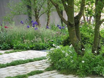 No Man's Land, Chelsea Flower Show, 2014. Middle section, Lost Gardens, morphing into third section, Waterside, where mine crater made wildlife haven