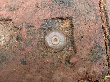 Bullet embedded in terracotta tile, The Potter's Garden, Chelsea Flower Show, 2014