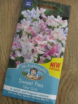 Sweet Pea Tiller Girls from Mr Fothergill's