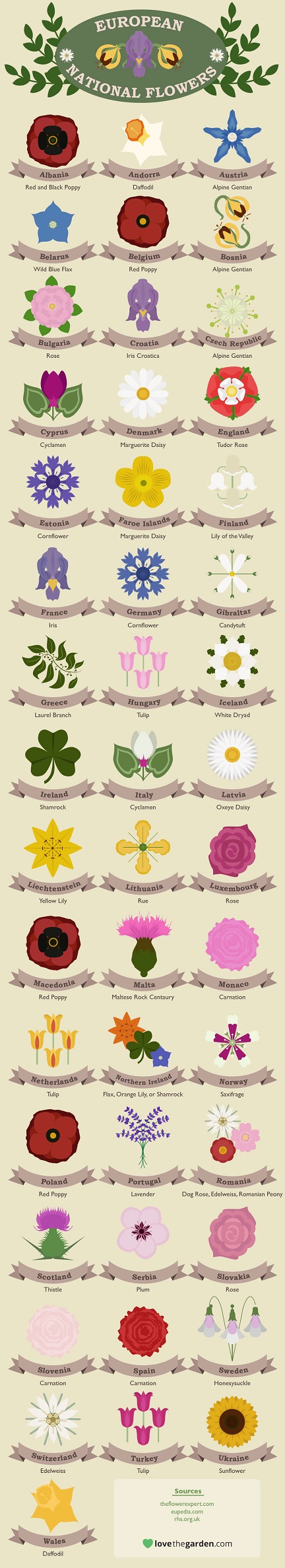 Nations-favourite-flowers-infographic reduced