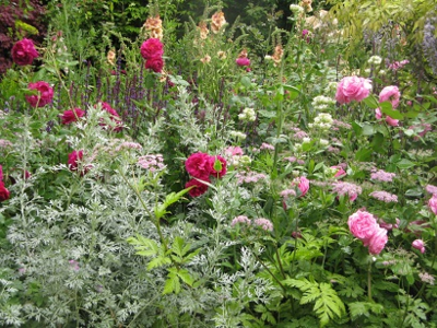 Planting on the M&G Retreat Garden, designed by Jo Thompson, Chelsea 2015