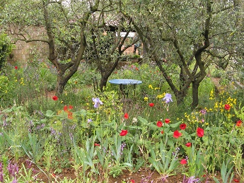 James Basson's A Perfumer's Garden in Grasse, Chelsea 2015