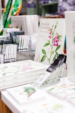 Botanical Illustration, Chelsea Physic Garden shop August 2015