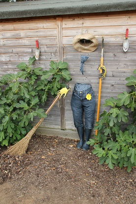 Invisible Man Scarecrow, Mr Fothergill's staff competition 2015