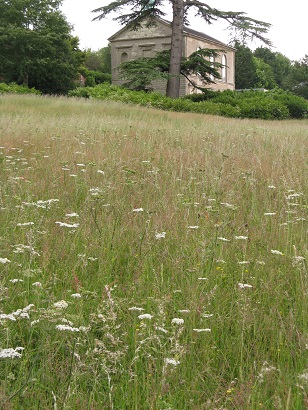 Wildflower Meadow by Dan Pearson, Compton Verney, 2015