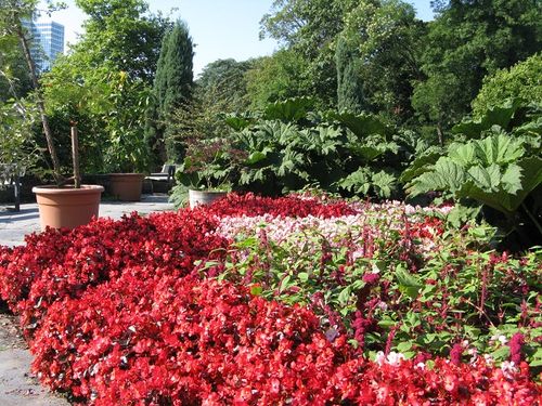 Colourful corner, Planten und Blomen, Hamburg, Germany