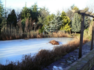 Frozen_ornamental_pond_-_geograph.org.uk_-_1670837