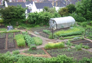 GREEN, the Garden for Research, Experiential E and Nutrition